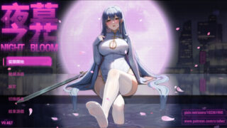 【ARPG/双端/官中/步兵】夜幕之花 Night Bloom v0.723【度盘/3.0G】
