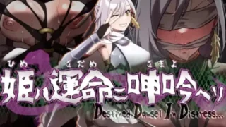 【SLG/双端/官中/步兵】命运束缚的公主宿命哀吟 姫ハ運命ニ呻吟ヘリ Destined Damsel In Distress V1.05 全CG【度盘/1.1G】