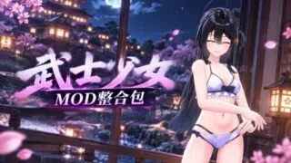【ACT】武士少女 V3.0.0 +全DLC +绅士MOD整合包【度盘/14G】