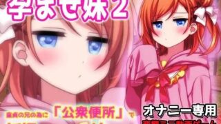 【SLG/生肉】孕ませ妹2～为了童贞的哥哥而在“公衆便所”怀孕的嚣张又温柔的妹妹～H场景视频小游戏 #孕ませ妹2～童貞の兄の為に「公衆便所」で妊娠する生意気で優しい妹～Hシーン動画ミニゲーム【度盘】