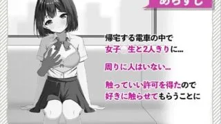 【SLG】快感痴汉触摸电车 快感痴◯おさわり電車【度盘/4.3G】