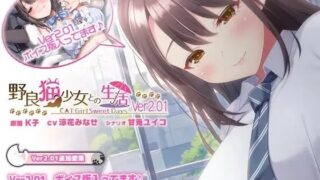 【SLG/机翻】野猫少女的同居生活  +全回想v2.01【度盘/夸克/2.66G】