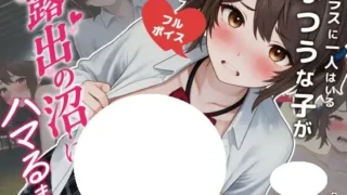 【3D/生肉】直到班上那个随处可见的普通女孩陷入露出沼泽为止 クラスに一人はいるふつうな子が露出の沼にハマるまで【度盘/4.33G】