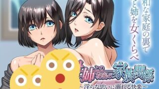 【ADV/AI汉化】母亲与姐姐的秘密家庭关系 ～沉溺于淫荡欲望的快乐～ +全CG存档【度盘/510M】