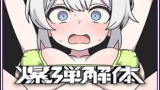 【SLG/生肉】炸弹拆除 爆弾解体【度盘/120M】
