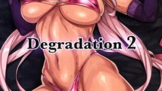 【本子】【アイソカーブ 【アレグロ】】 Degradation1-2【魔界騎士イングリッド】【度盘/夸克/26M】