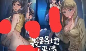 【SLG/双端】小巷子里的秘密事情 ~裏路地ノ事情 V1.1.3f 最终版【PC642MB+安卓160MB/度盘/迅雷/UC】