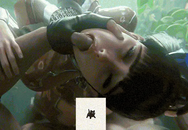 【自购】【3D同人/无修正】Nagoonimation大佬24年6月作品【2V/566M/pik】