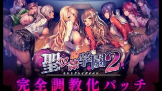 【ADV/汉化】圣奴隶学院2 完全调教版【度盘/4.31GB】