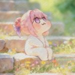 妮可妮可蛋